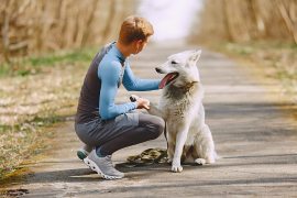 Conseils santé pour les animaux de compagnie